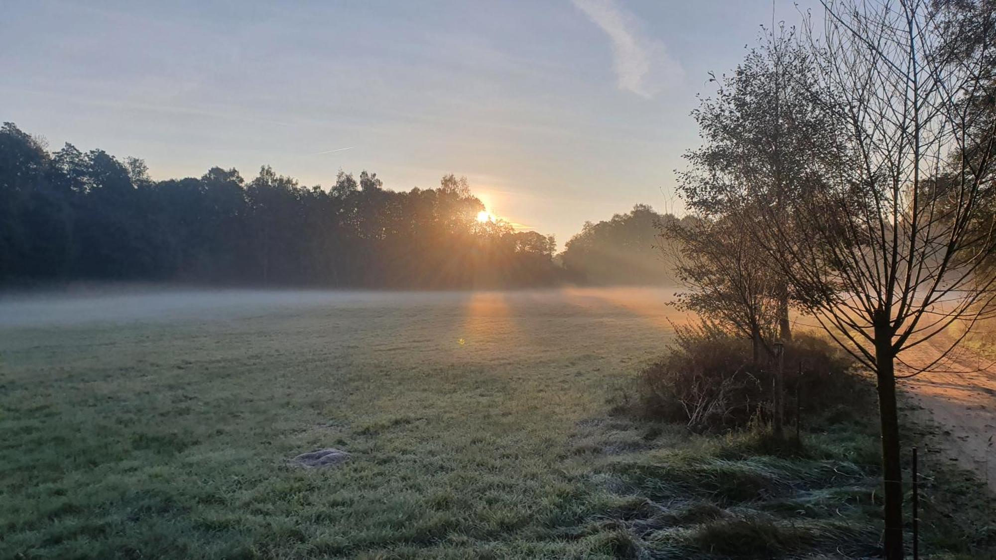 Am Gruenen Meer Muschen ภายนอก รูปภาพ